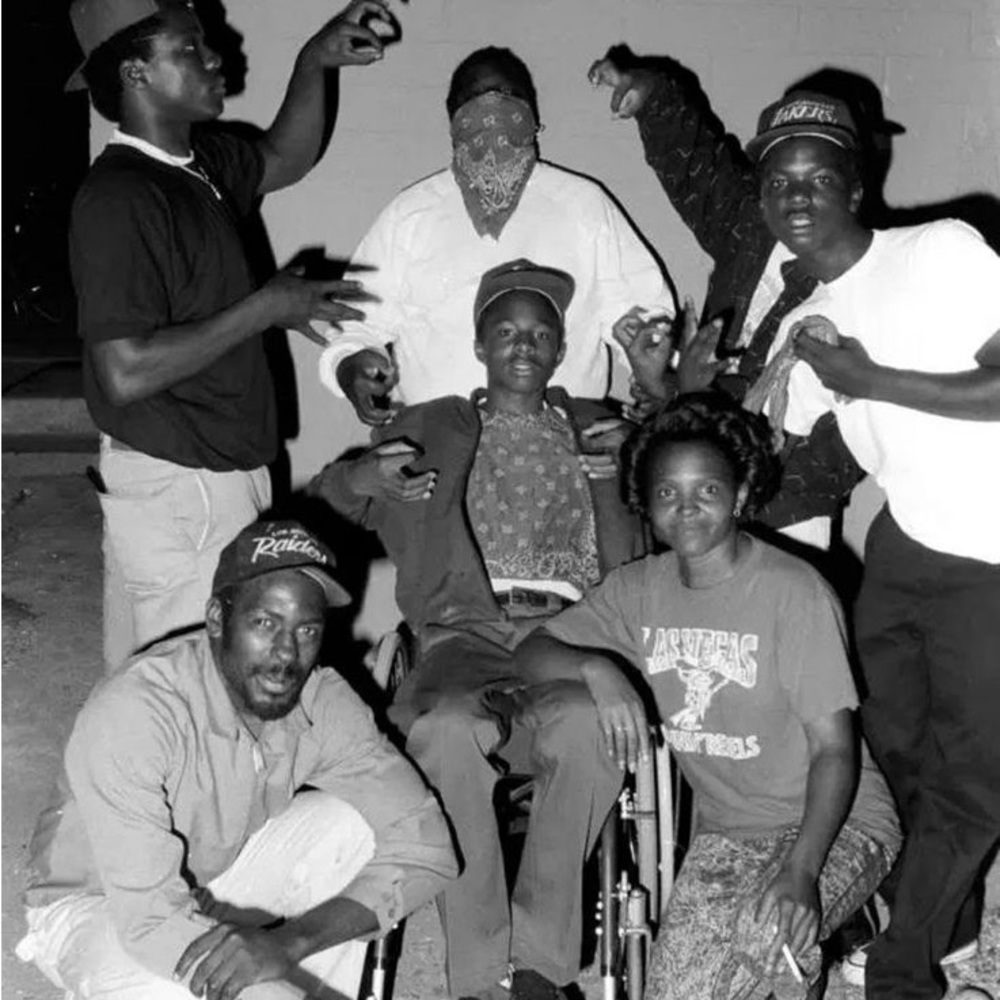 Meet your Posher, Koi